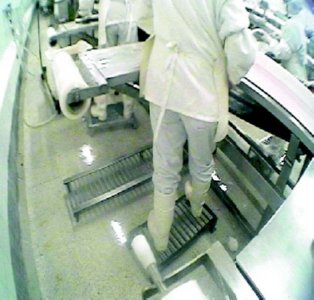 industria salmon 28  ALIMENTOS MERCADO